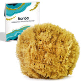 Naroa exfoliating sponge close-up for gentle cleansing with natural fibers