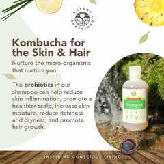 Nature Sustained probiotic fermentation jar shows vegan probiotics aiding scalp balance.
