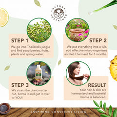 Nature Sustained sulfate-free plant-extracts label emphasizes safe, chemical-free oil control.