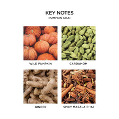 NEST New York Pumpkin Chai liquid soap hand nourishment shows gentle cleansing with plant extracts.