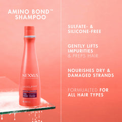 Nexxus bond-building technology diagram explains amino acid repair of hair bonds