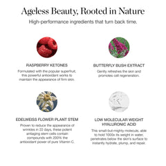 Ogee Seeds of Youth Serum hydration close-up shows gel-like texture for skin