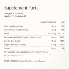 OMI WellBeauty application steps visual shows easy daily routine for follicle support.