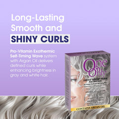 One 'N Only Shiny Silver Perm Kit self-heating application highlights hands-free curling readiness.