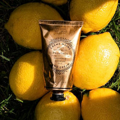 Panier des Sens Provence hand cream ingredients closeup with shea butter and olive oil nourishment