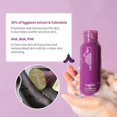 Papa Recipe Eggplant Enzyme Powder Cleanser foam pump bottle with clean design