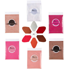 PARAMISS lip pigment powder 6colors closeup for building pigmented lip gloss shades easily.