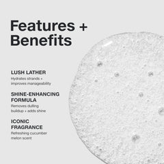 Paul Mitchell Awapuhi Shampoo hair-shine close-up demonstrates smooth, manageable strands.