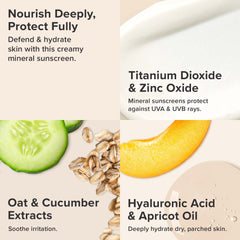 Paula's Choice Mineral Sunscreen ingredient oat cucumber illustration highlighting soothing benefits.