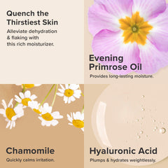 Paula's Choice Skin Recovery texture closeup reveals creamy, non-greasy finish.
