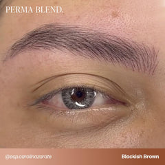 Perma Blend Cool Eyebrow Mini Set dual-use shades suit brows and eyeliner applications.