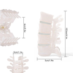 Personfun spine clip in white acetate holds medium to thick hair securely for daily wear