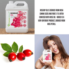Premium Nature Rosehip Oil on skin for facial care and hydration.