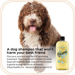 Quinn's Pure Castile body wash foaming for gentle, everyday skincare