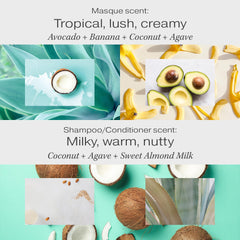 Raw Sugar bundle flatlay showing shampoo conditioner masque trio