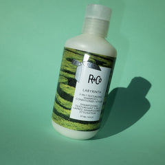 R+Co Labyrinth succulent plants fermented radish root close-up for hydration.