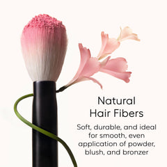 Rephr brush05 powder application for even, lightweight finish.