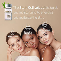 Ronas Stem Cell Solution ampoules sealed vials convey freshness and protection.