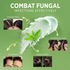 Roycederm Tea Tree Scalp Scrub shea butter feature suggests nourishing scalp and smoother hair.