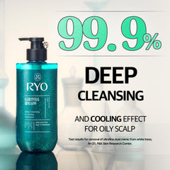 Tea tree and mint extracts featured in RYO shampoo for scalp purification and odor control.