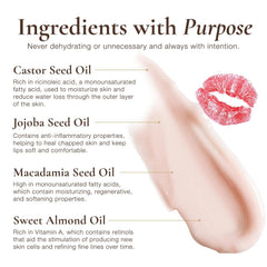 Sara Happ Lip Slip Luxe Balm packaging highlights premium lip care for daily use.