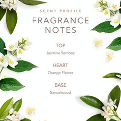 SCENT BEAUTY Early Morning Breeze packaging box, ready for gifting.
