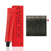Schwarzkopf Igora Royal 6-1 Dark Blonde Cendre bottle-open shows precise color application for even coverage.