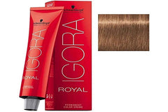 Schwarzkopf Igora Royal 7-65 bottle open reveals rich medium auburn gold tones.