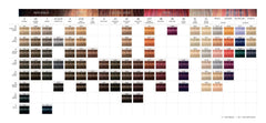 Schwarzkopf Igora Royal color palette swatch demonstrates precise shade directions.