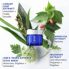 SEKKISEI Herbal Gel night mask application showing overnight hydration.