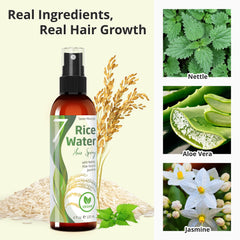 Close-up of nettle, aloe vera, and jasmine ingredients in Seven Minerals formula.