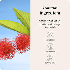 Sky Organics Castor Oil for eyebrows and lashes care routine.