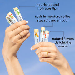 Sky Organics lip balm tropical-coconut 6pk hydrates with tropical scent and softness.