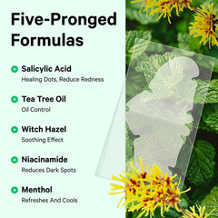 Sosky Nose Patches ingredients highlight salicylic acid and tea tree benefits.