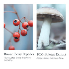 SOTHYS Hydrating Velvet Youth Cream ingredients rowan berry peptides support skin resilience