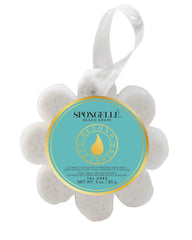 SPONGELLÉ Beach Grass Wild Flower Buffer front view showing gentle exfoliation and cleansing.