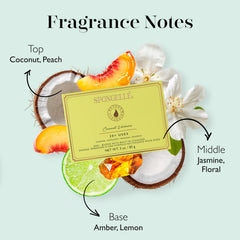 SPONGELLÉ Coconut Verbena Pedi-Buffer jabón integrado facilita limpieza y exfoliación.