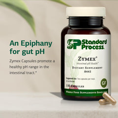 Standard Process Zymex capsules closeup emphasizes easy daily intake for digestive health support.