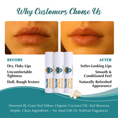 Tallowbourn beeswax barrier lip balm illustrating a protective moisture shield.