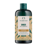 The Body Shop Ginger Scalp Care Shampoo bottle front view for soothing dry scalp.