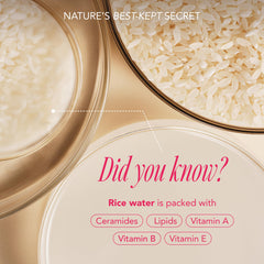 The Face Shop Rice Water Bright foaming cleanser bottle for deep cleansing while traveling.