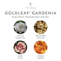 Thymes fragrance notes Goldleaf Gardenia with jasmine and amber