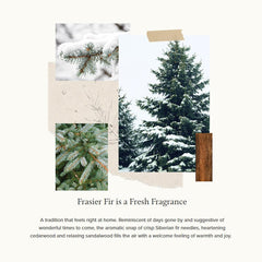 Thymes Frasier Fir bar soap closeup reveals creamy lather and apricot kernel exfoliation.