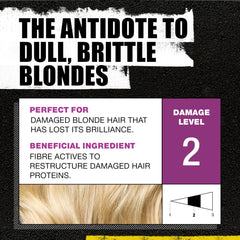 TIGI Bed Head Dumb Blonde shampoo close-up color protection and hydration benefits.