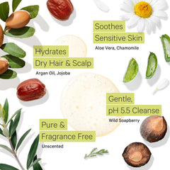 Tree to Tub fragrance free shampoo with argan oil close up highlights moisture for dry hair.