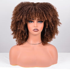 Vitorish Afro wig 12-inch kinky curly ombre brown side view highlighting texture and styling versatility