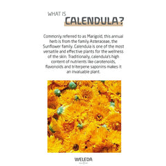 Weleda calendula face cream texture closeup highlights gentle nourishment for delicate baby skin.