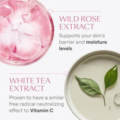 Weleda Smoothing Day Cream ingredients list image—natural botanical blend.
