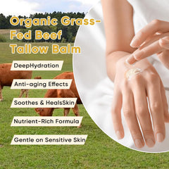WNOHIQ Noluria Beef Tallow olive oil drizzle captures nourishing oil blend for daily moisture.