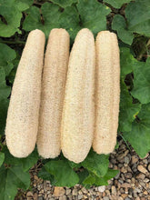 YEMTAL natural loofah sponges front view for daily exfoliation